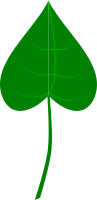 leaf