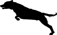 Jumping Dog Silhouette