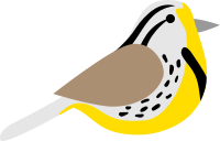 Meadowlark
