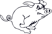 Running pig