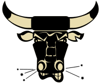Bull