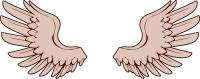 Wings