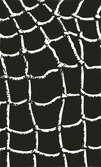 Webs