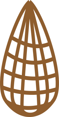 Brown Cartoon Net