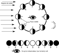 Les phases de la lune - Moon phases