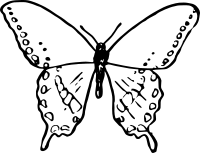 Simple Butterfly