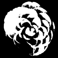 Chinese Flower outlines