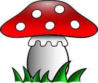 Fly-agaric