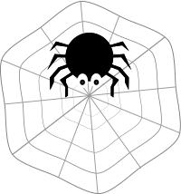 Spider on Web