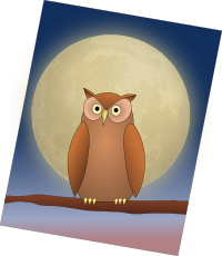 The Owl and The Moon