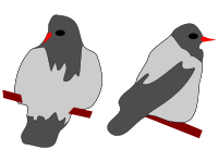 Kraehe 1 und Kraehe 2