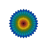 colorful flower