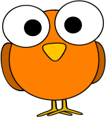 Orange googley-eye bird