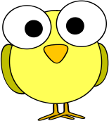 Yellow googley-eye bird