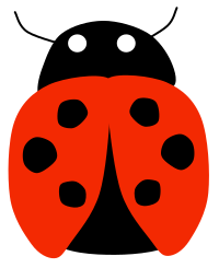 Lady Bug