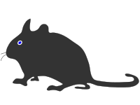 mouse