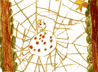 Kindergarten Art Spider