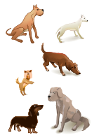 dogs pack