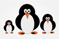 penguin family