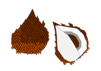 Buah Salak - Snake Fruit