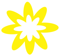 Yellow Burst Flower