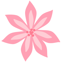 Pink Lily