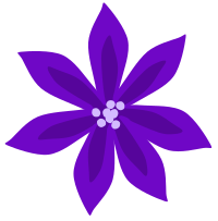 Purple Lily