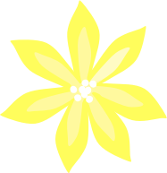 Yellow Lily 