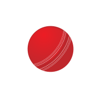 Cricket Ball