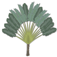 tree-09