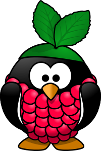 Raspberry penguin