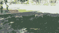 Dogs Walking in Park