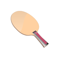 Ping Pong bat