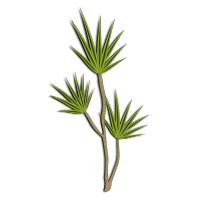 plant-02