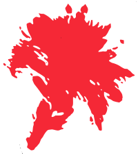 International Working Women's Day - Carnation