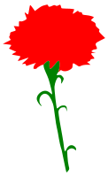 International Working Women's Day - Carnation