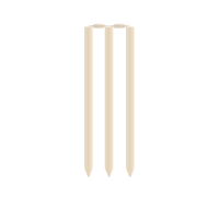 Cricket Stumps and Rails