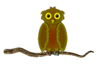 Owl on a Branch