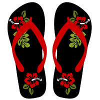 Flipflops 34