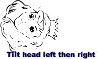 funnyHead