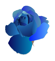 Blue Rose