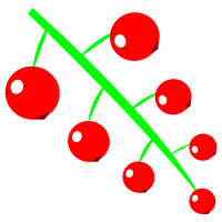 Berries