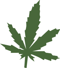 the leaf1