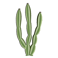 mandacaru