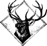 Stag