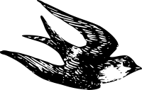 Swallow