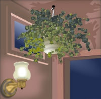 Hanging Plant