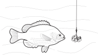 Beaded Fish Bait