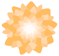 Orange Flower