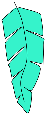 Feather